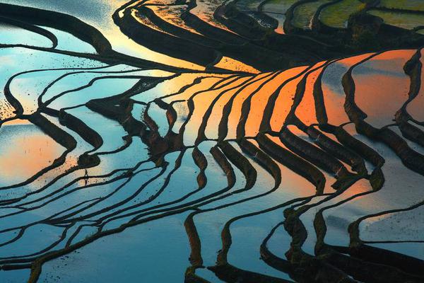 在城市乡村间 gary农民工的奋斗故事 示例图 - 说明文字