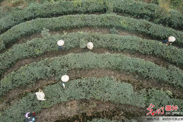 18游戏入口指南，全方位避免问题和风险 示例图 - 说明文字