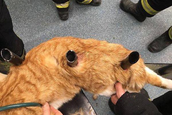 26uuu偷拍亚洲欧洲综合精彩镜头 示例图 - 说明文字