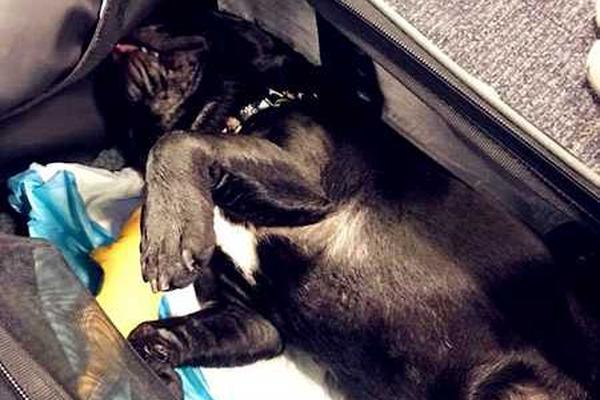 喜欢bl动画的你，来看这些车车动画推荐吧！bl的车车动画 示例图 - 说明文字