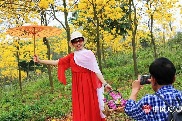 军情五处第四季全集免费在线观看-英国欧 示例图 - 说明文字