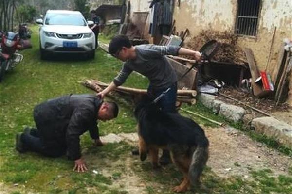 aaaa级片，最新aaaa大片，高清aaaavaaaaaa精品视频 示例图 - 说明文字