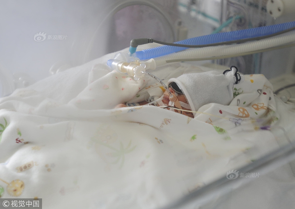 保罗芭芭拉1980年合作-斯顿手颠覆传统流行文化 示例图 - 说明文字