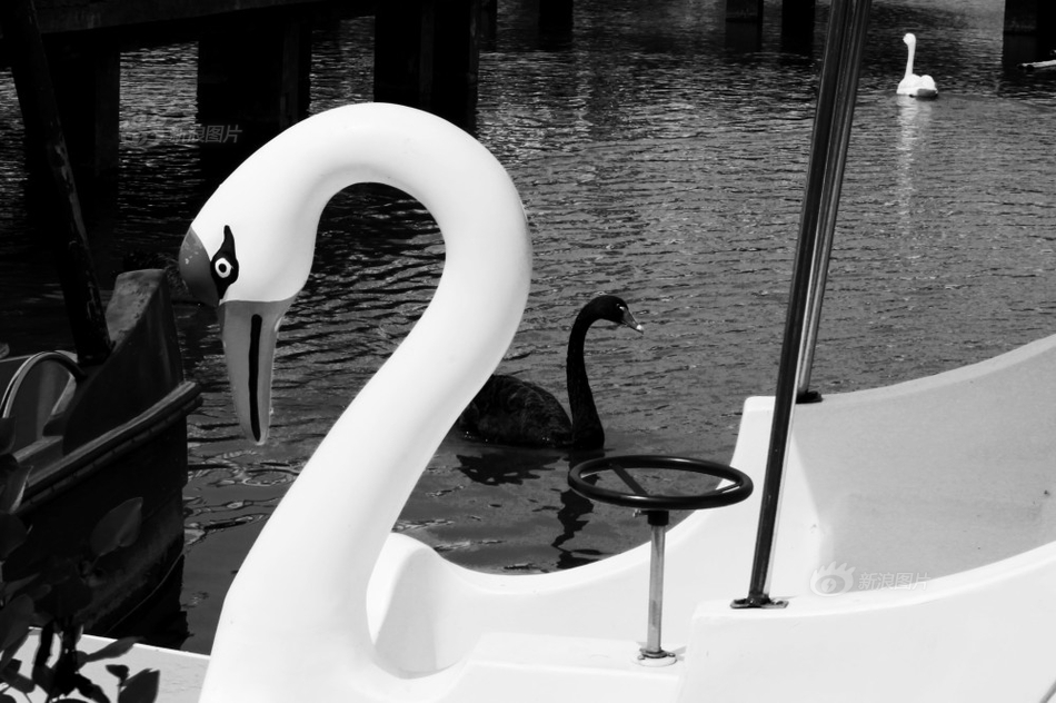 18游戏入口指南，全方位避免问题和风险 示例图 - 说明文字