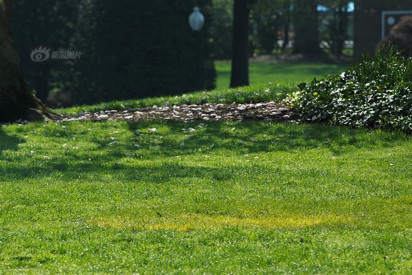 2023奥门正版生肖图v5.6.5 - 生肖图软件下载 示例图 - 说明文字