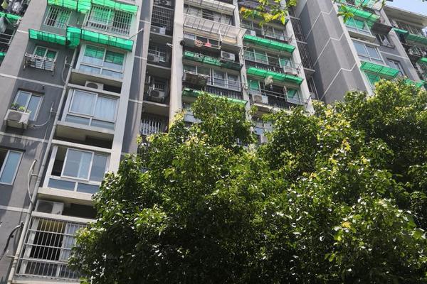 2024达盖亚旗帜回家的路_达盖亚旗帜暂停剧组 示例图 - 说明文字