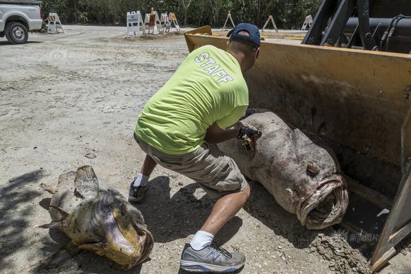 在五情天综合基地探寻幸福之秘 示例图 - 说明文字