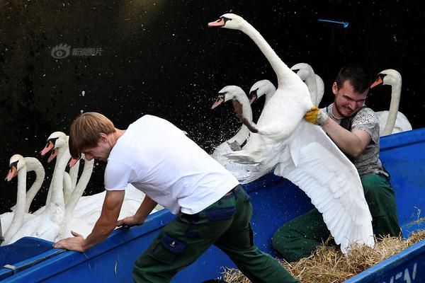 7x7x7x7x任意槽2023新品购买推荐 示例图 - 说明文字