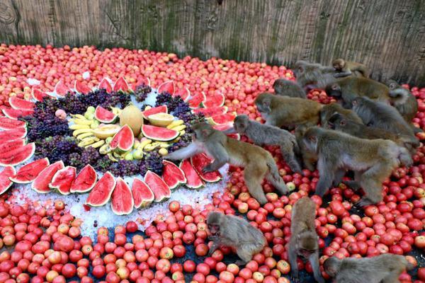 →→fulao2邮箱专业站长版v3314.6314.58585a_ 示例图 - 说明文字