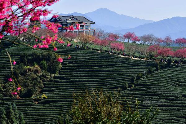 ...亚托莉我挚爱的时光手机版v 示例图 - 说明文字