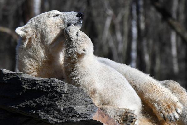 18游戏入口指南，全方位避免问题和风险 示例图 - 说明文字