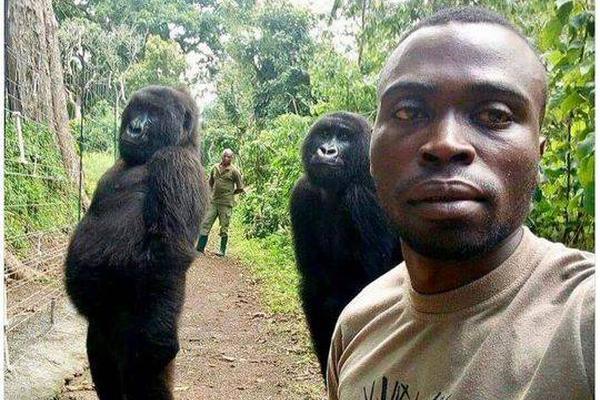 2024年管家婆100%中奖安全设计说明法 示例图 - 说明文字