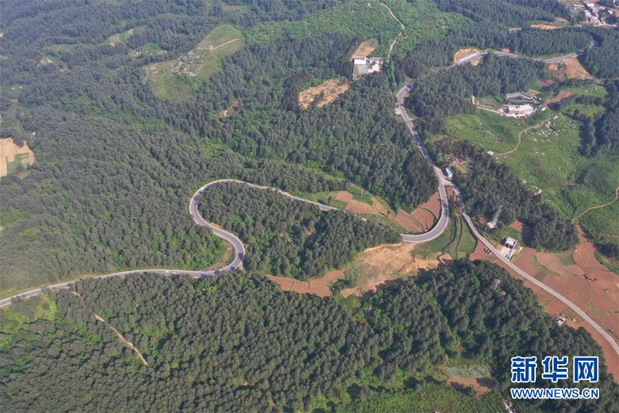 ...亚托莉我挚爱的时光手机版v 示例图 - 说明文字