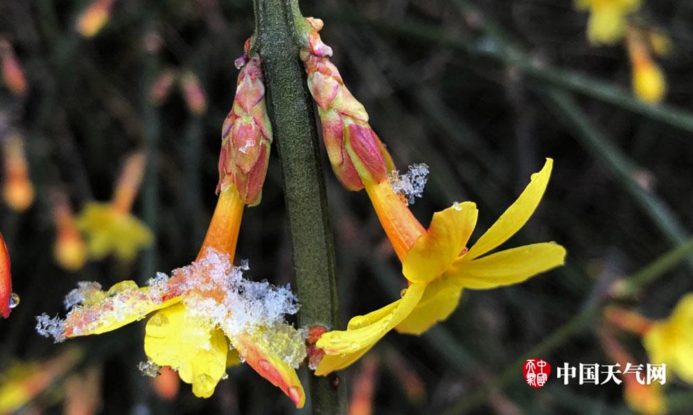 ...亚托莉我挚爱的时光手机版v 示例图 - 说明文字