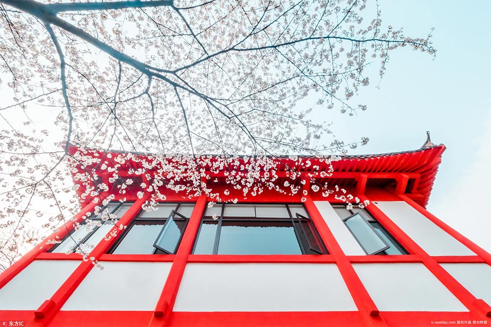 上位勾引h师生出轨兔子爱吃草新章节-上位勾引 示例图 - 说明文字