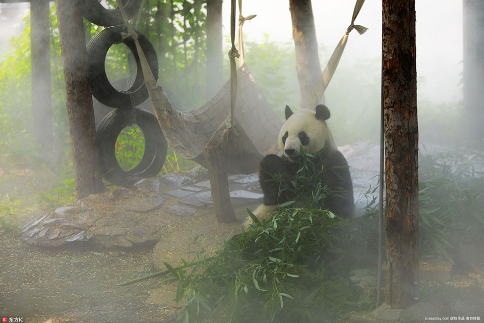 尝心蜜迈开腿尝尝你的草莓 示例图 - 说明文字