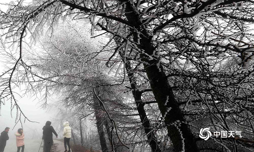 呕吐=美团姑娘怎么约，美团骑手如何进行预约(2024-12-07 21-0) 示例图 - 说明文字