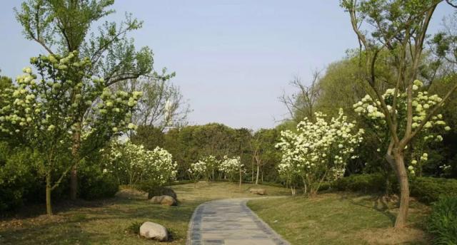 义妹生活免费在线观看-完整版-fhd日漫-新尚影院 示例图 - 说明文字