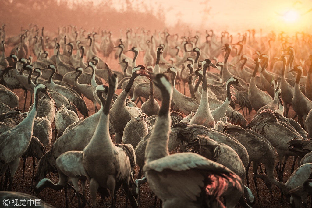 →→fulao2邮箱专业站长版v3314.6314.58585a_ 示例图 - 说明文字