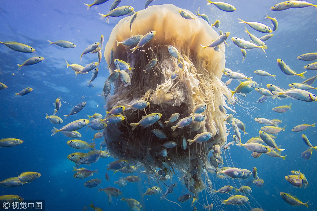 1000部18岁啪啪啪视频-少年之痛杨妞花希望 示例图 - 说明文字