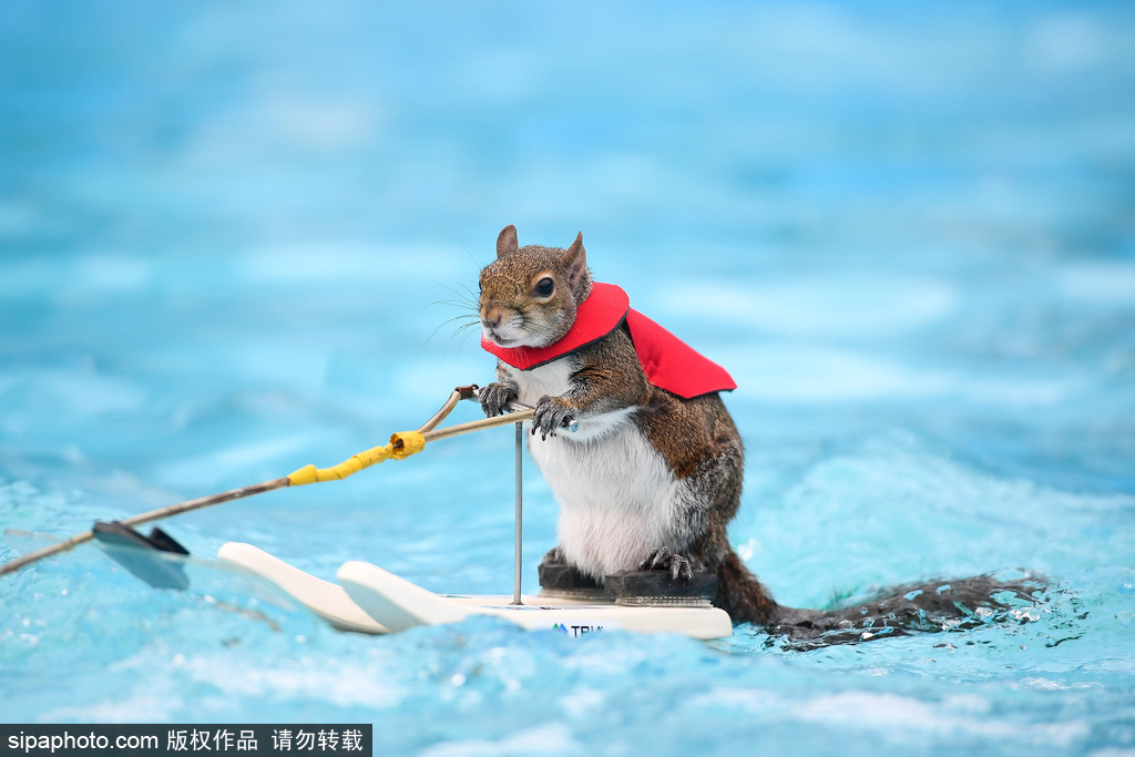 双女车车高清资源在线观看视 示例图 - 说明文字