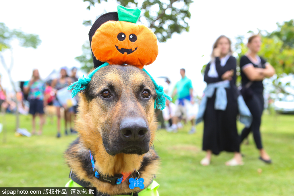 20cm长的棉签在晚上有什么用处 示例图 - 说明文字