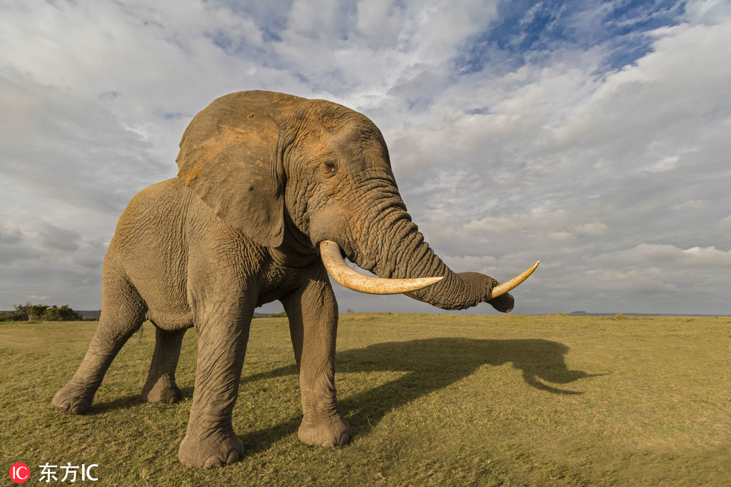 公司公厕小说免费阅读2025最新章节更新 示例图 - 说明文字