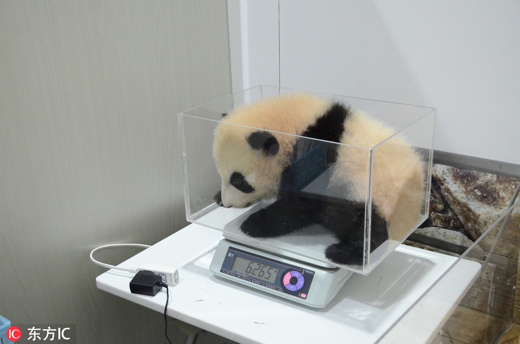 在我眉心中藏着一个独特的世界 示例图 - 说明文字