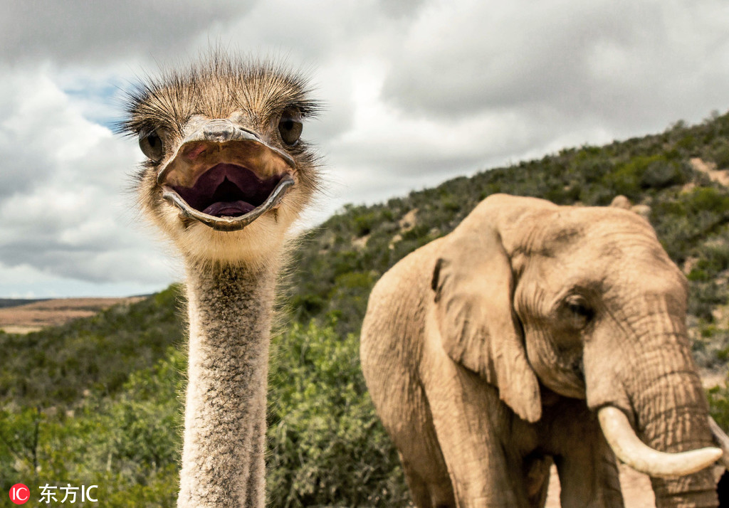 26uuu偷拍亚洲欧洲综合精彩镜头 示例图 - 说明文字