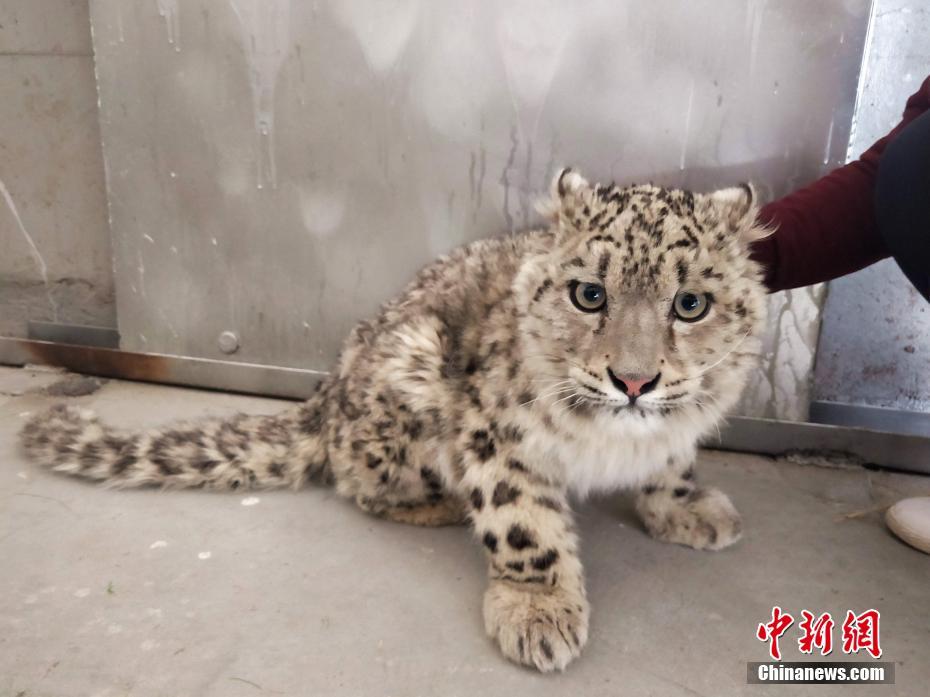 《百千家的妖怪王子》全集动漫-樱花动漫 示例图 - 说明文字