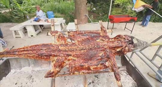 免费观看军情五处第四季电视剧完整版-英国欧 示例图 - 说明文字