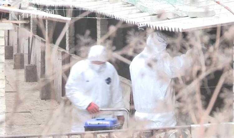 2024年管家婆100%中奖安全设计说明法 示例图 - 说明文字