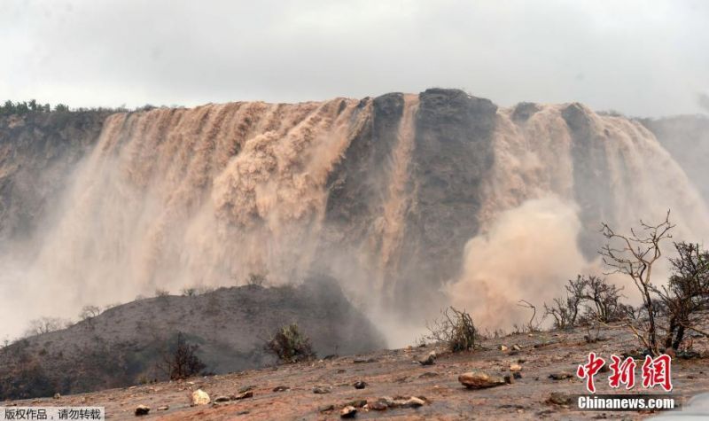 五情天综合基地揭秘幸福秘密 示例图 - 说明文字