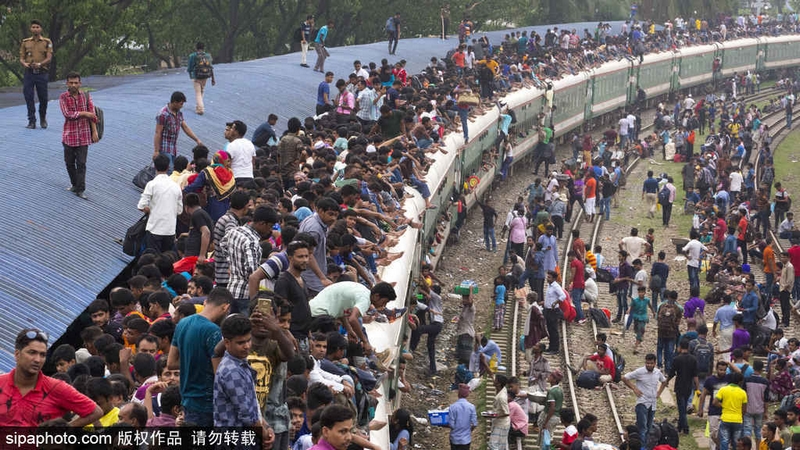 双女车车高清资源在线观看视 示例图 - 说明文字