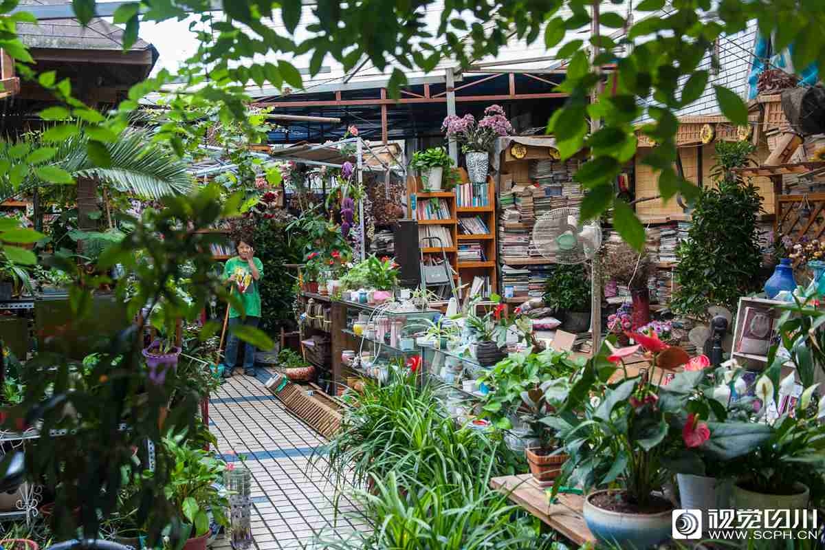 北野未奈hoa∨一101在线观看全集 示例图 - 说明文字