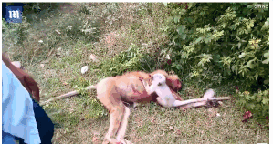 在城市乡村间 gary农民工的奋斗故事 示例图 - 说明文字