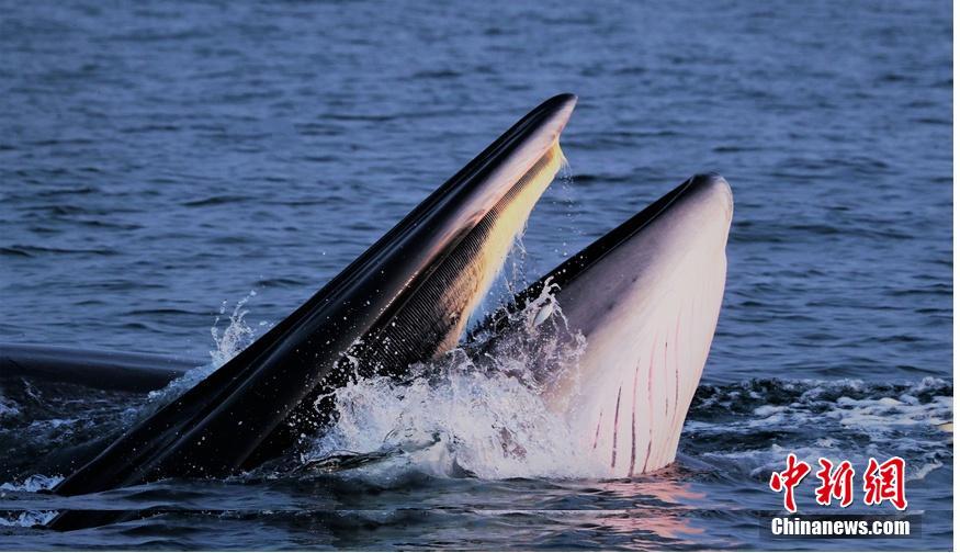 后座小孩带妈妈去姥姥家电子书(姀锡)小说在线全文阅读 示例图 - 说明文字