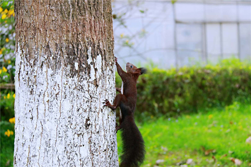 军情五处第四季全集免费在线观看-英国欧 示例图 - 说明文字