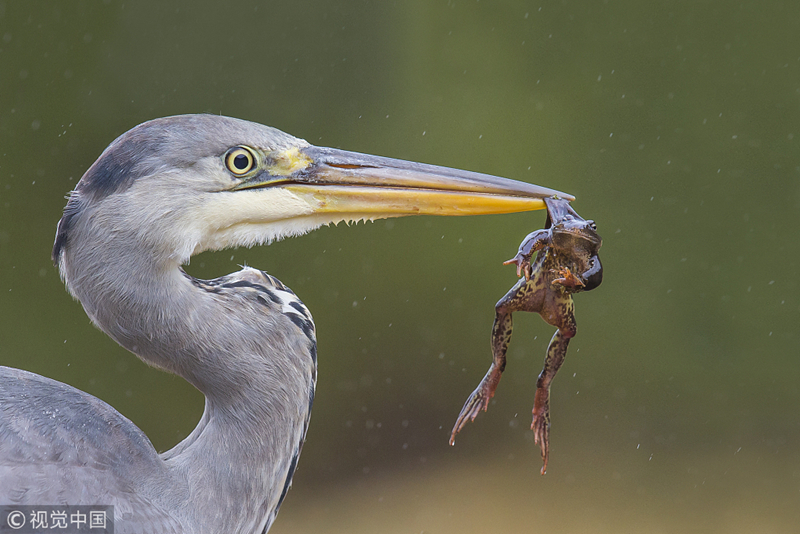 后座小孩带妈妈去姥姥家电子书(姀锡)小说在线全文阅读 示例图 - 说明文字