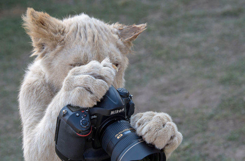 ...atri -my dear moments-手机版v 示例图 - 说明文字