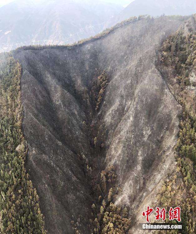 2023奥门正版生肖图v5.6.5 - 生肖图软件下载 示例图 - 说明文字