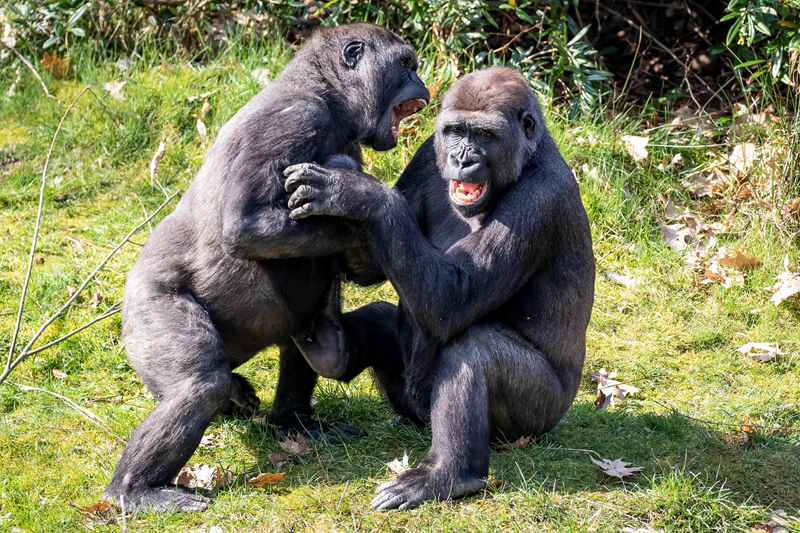 惊人色骚妇公共场合大胆视频曝光 示例图 - 说明文字