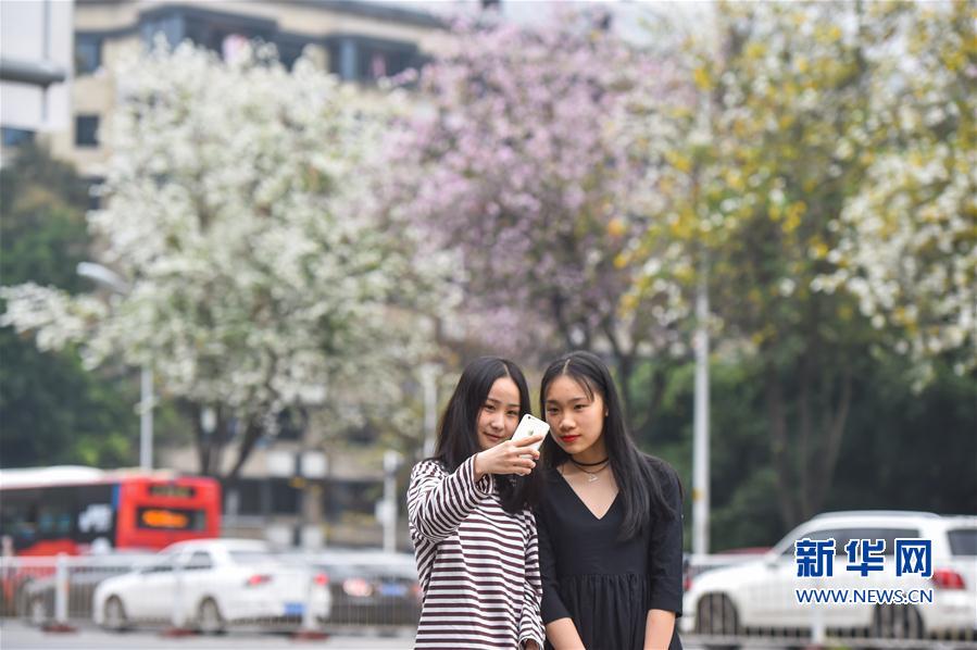 s货大声点c，懒烂你的b，电影高清在线观看 示例图 - 说明文字