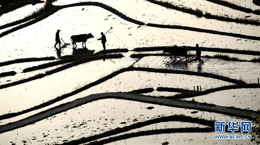 军情五处第四季全集免费在线观看-英国欧 示例图 - 说明文字