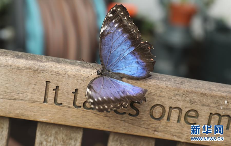 公司公厕小说免费阅读2025最新章节更新 示例图 - 说明文字