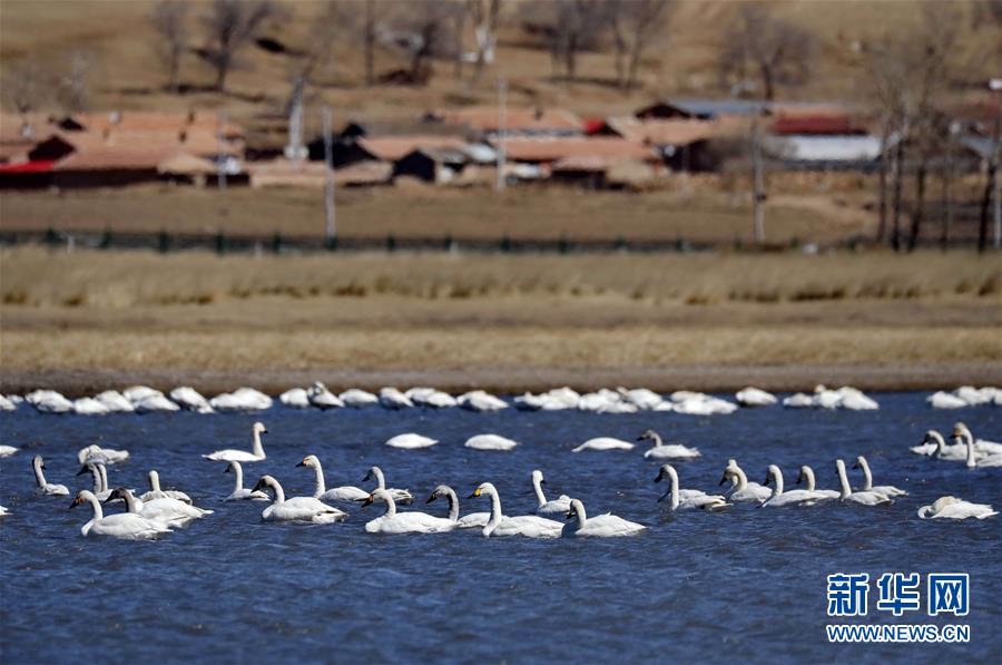 skixixwaswaskino热潮揭秘 示例图 - 说明文字