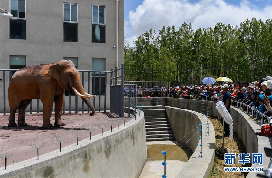 199麻豆up主吐槽盘点，内容绝，我刷了 示例图 - 说明文字