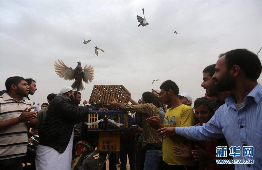 199麻豆up主吐槽盘点，内容绝，我刷了 示例图 - 说明文字