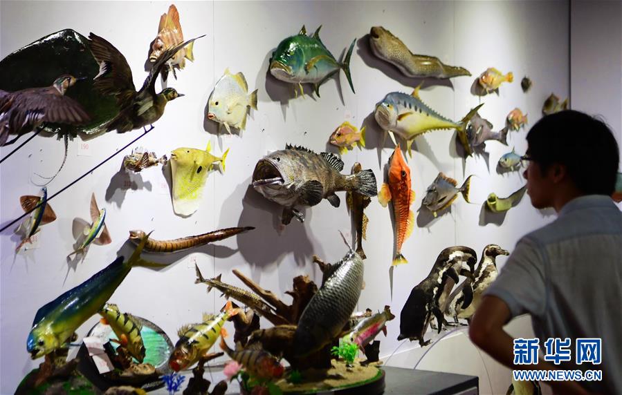 从指尖传出的认真的热情樱花动漫在线播放 示例图 - 说明文字