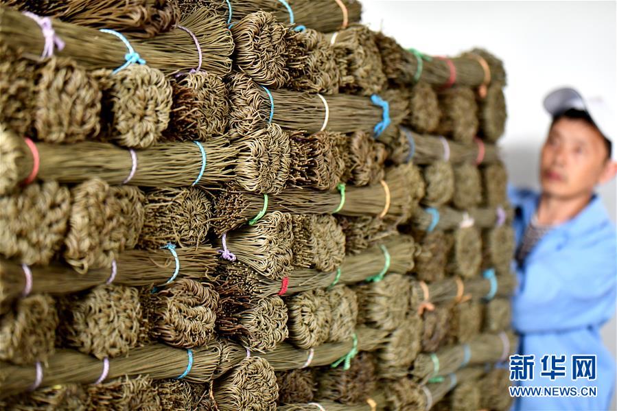 后座小孩带妈妈去姥姥家电子书(姀锡)小说在线全文阅读 示例图 - 说明文字